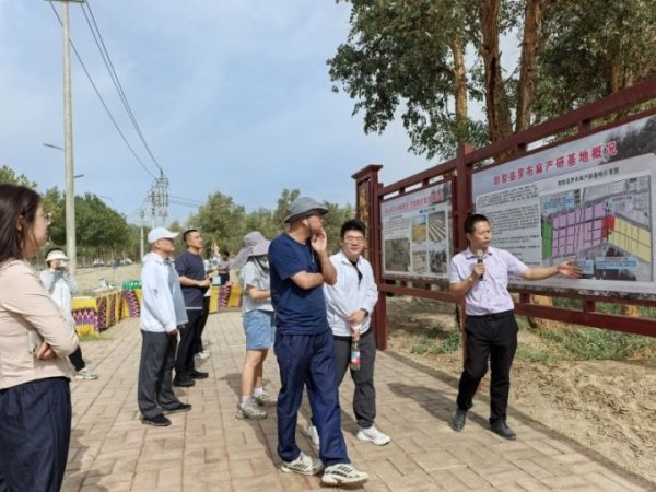 兴旺国际投资 从“戈壁仙草”看防沙治沙的“新疆智慧”